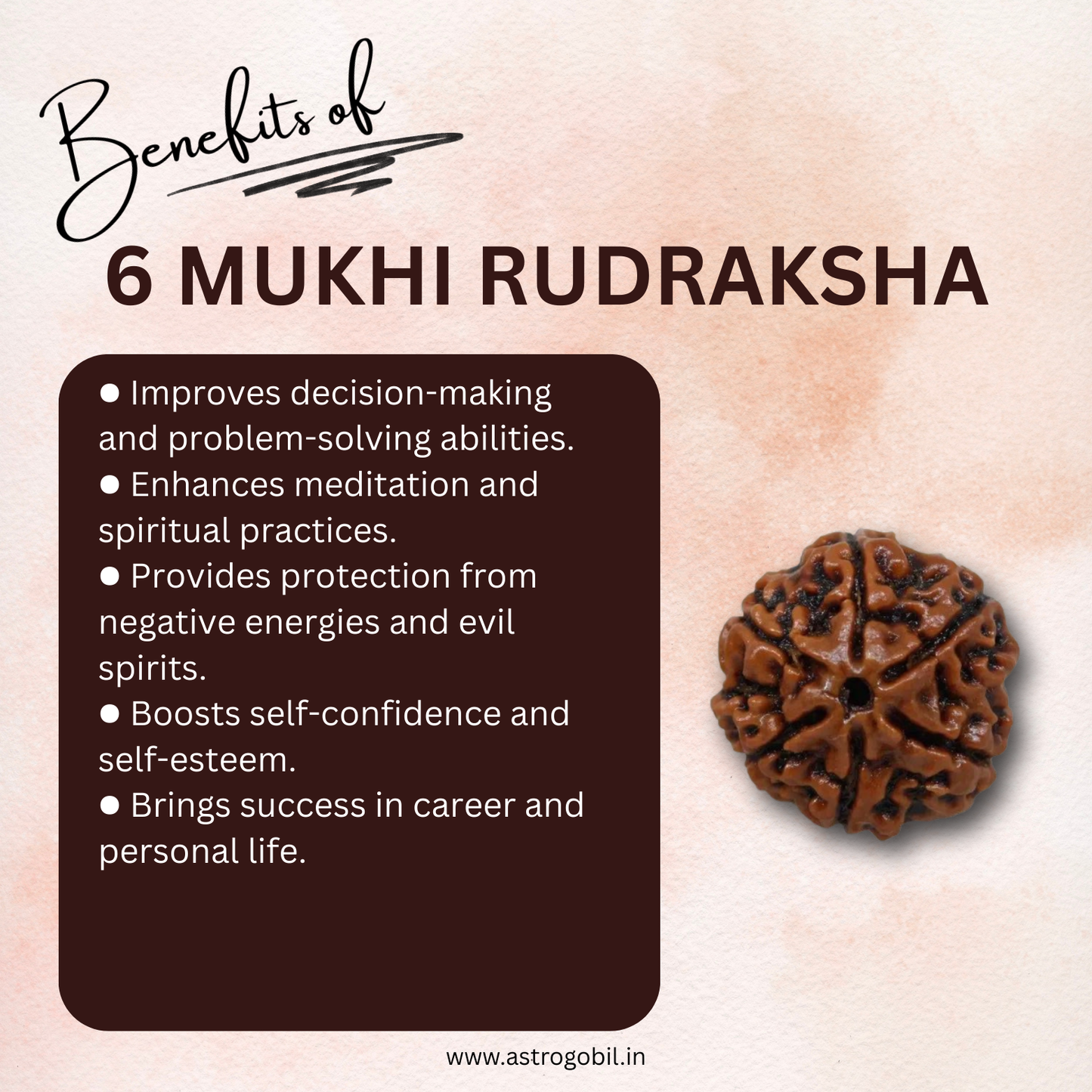 Nepal Origin 6 Mukhi Rudraksha - 18mm - 22mm